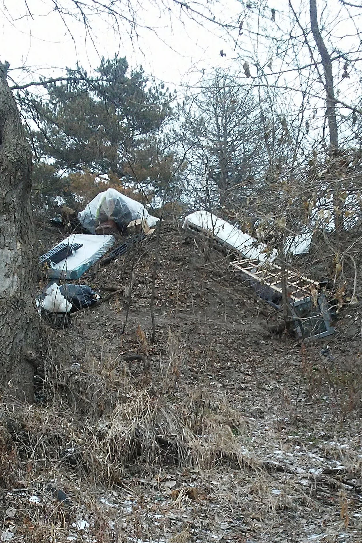 discarded trash in the woods
