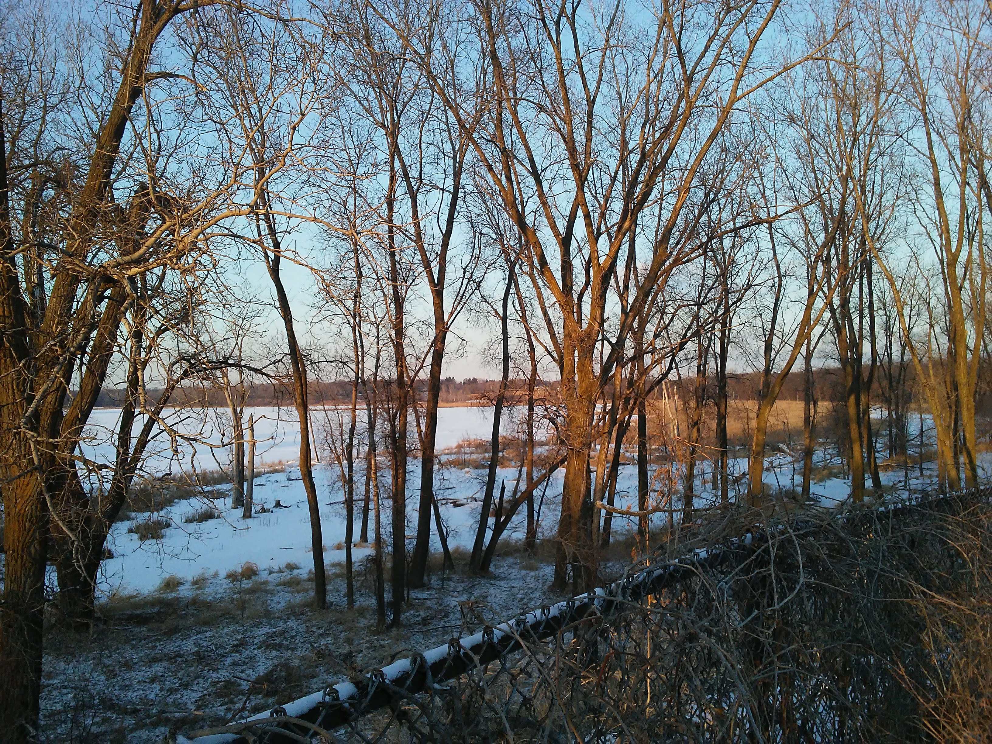 Lake and trees and a chain link fence in winter