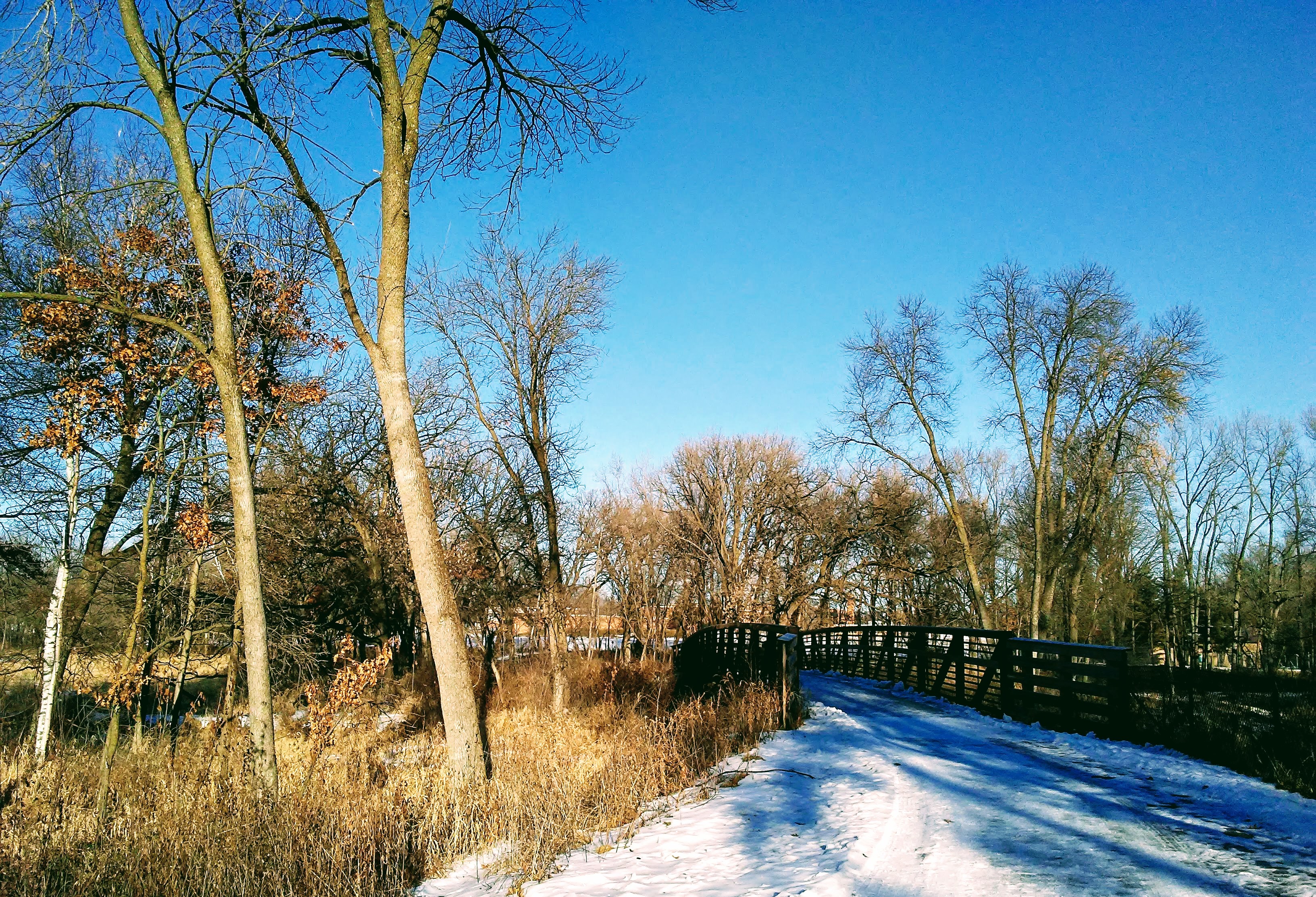 snow covered path, trees and bridge.