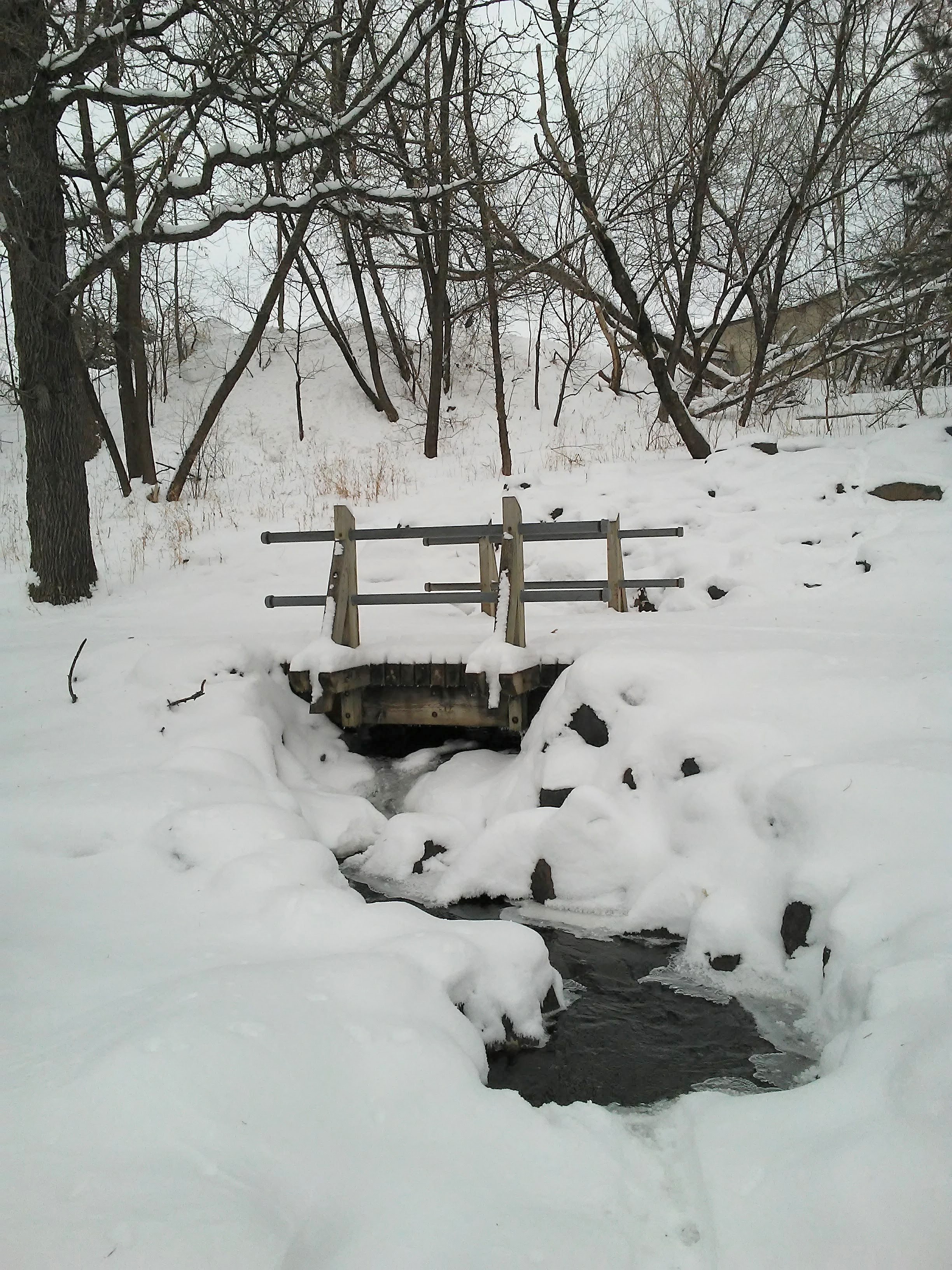 wood bridge, trees, snow, water.