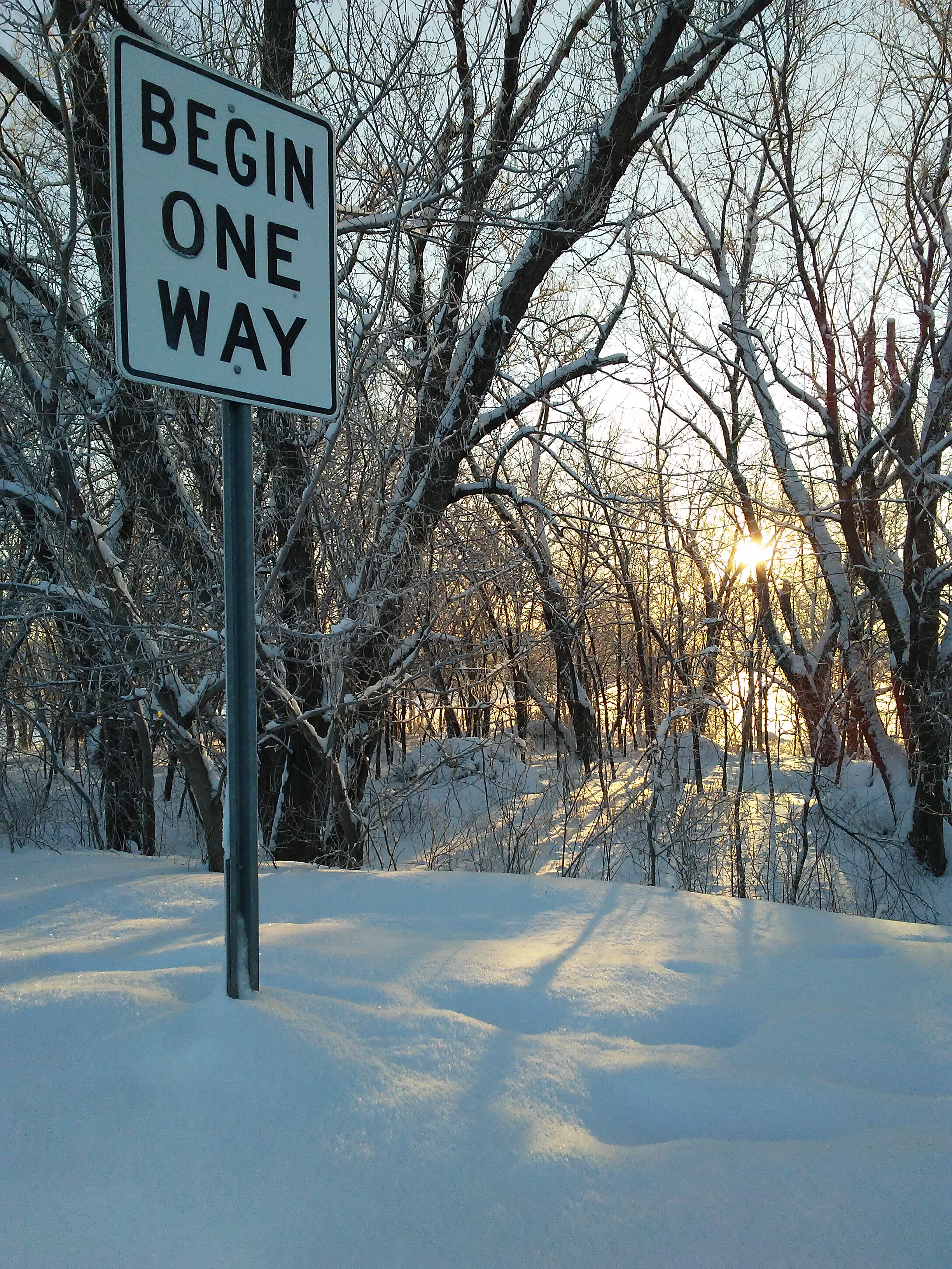 "Begin One Way" street sign and sunrise behind snow covered trees
