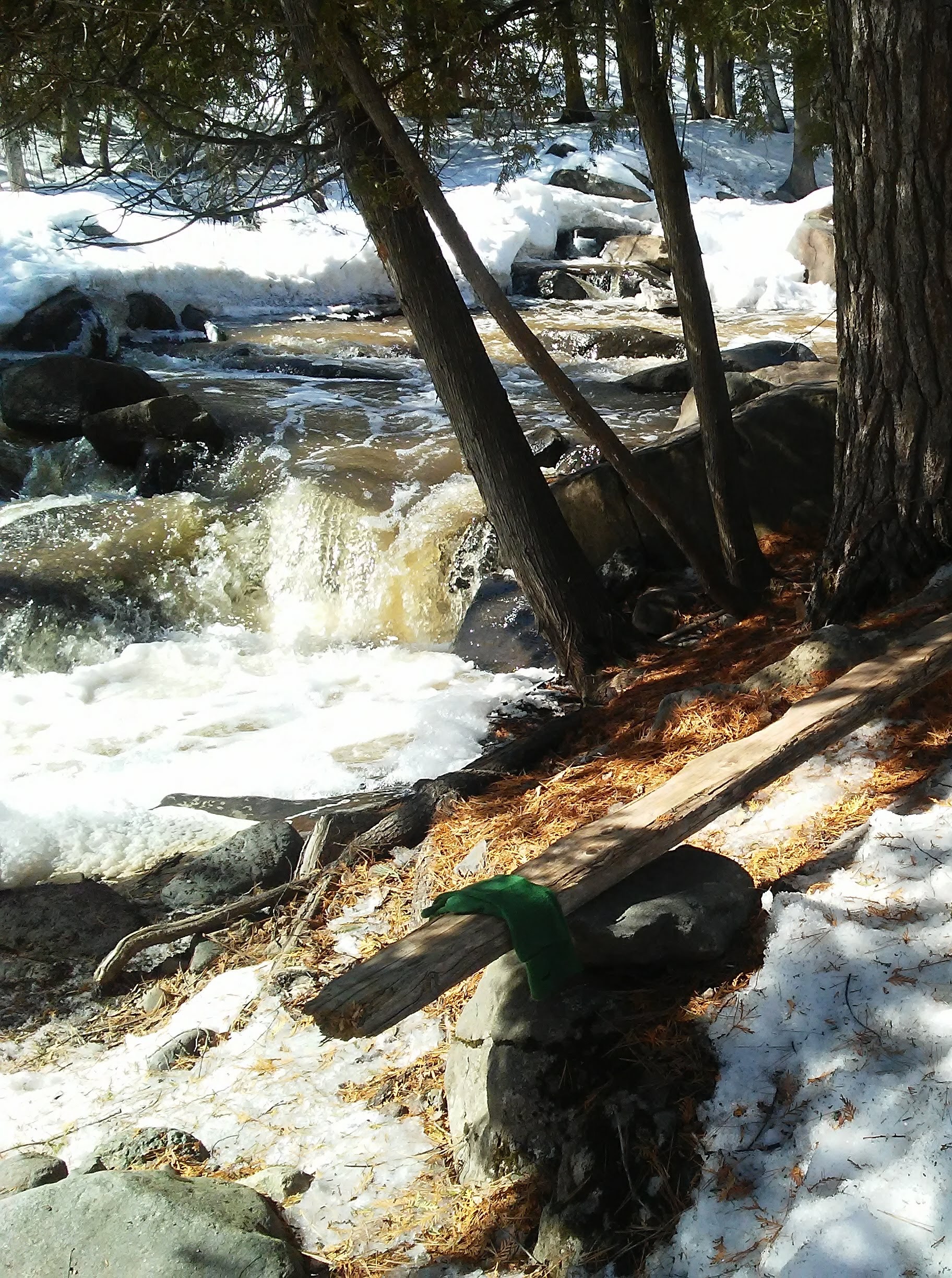 green mittens on a wood bench next to trees and a river with snow in the background