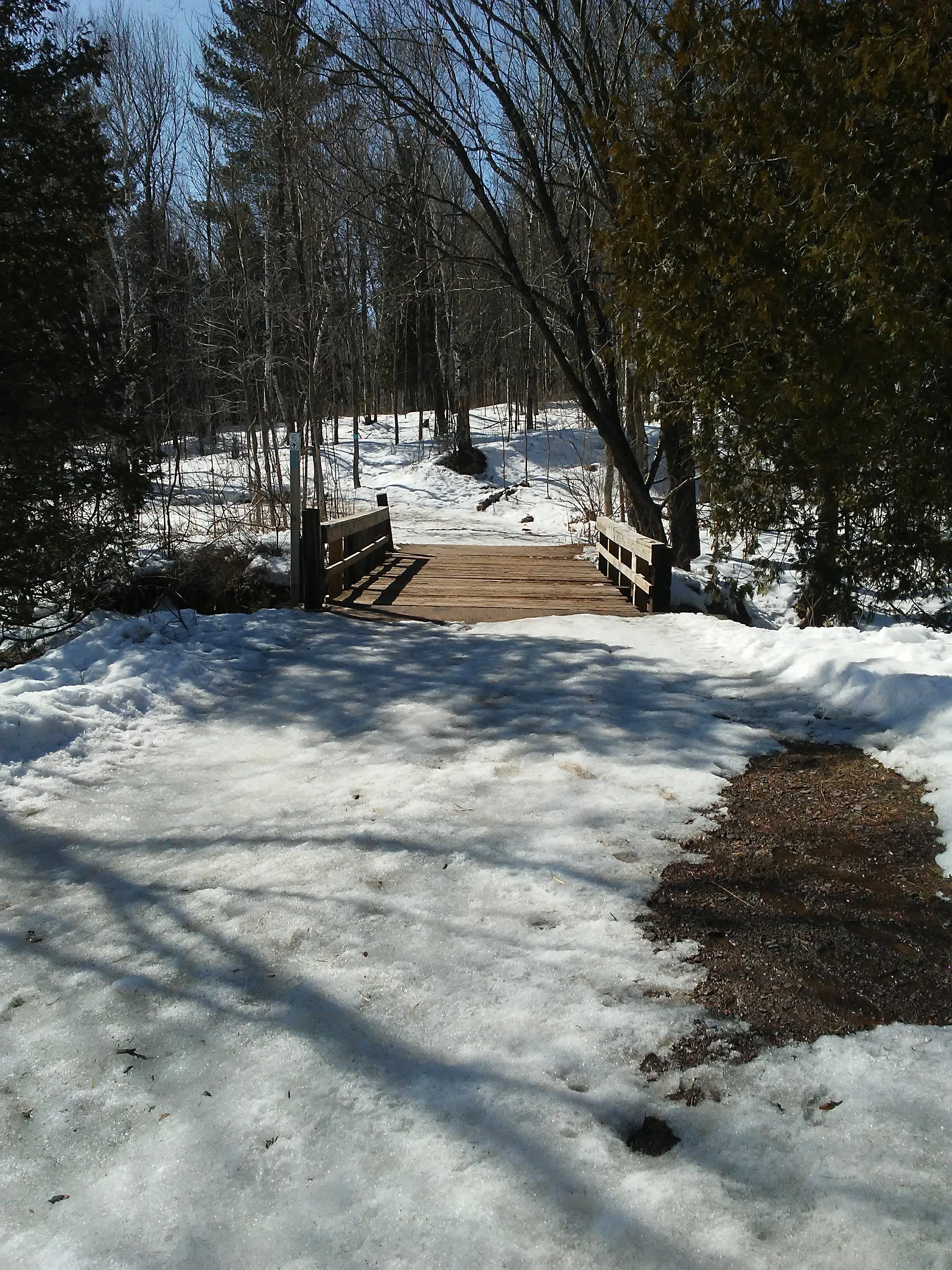 wood bridge and snow and trees