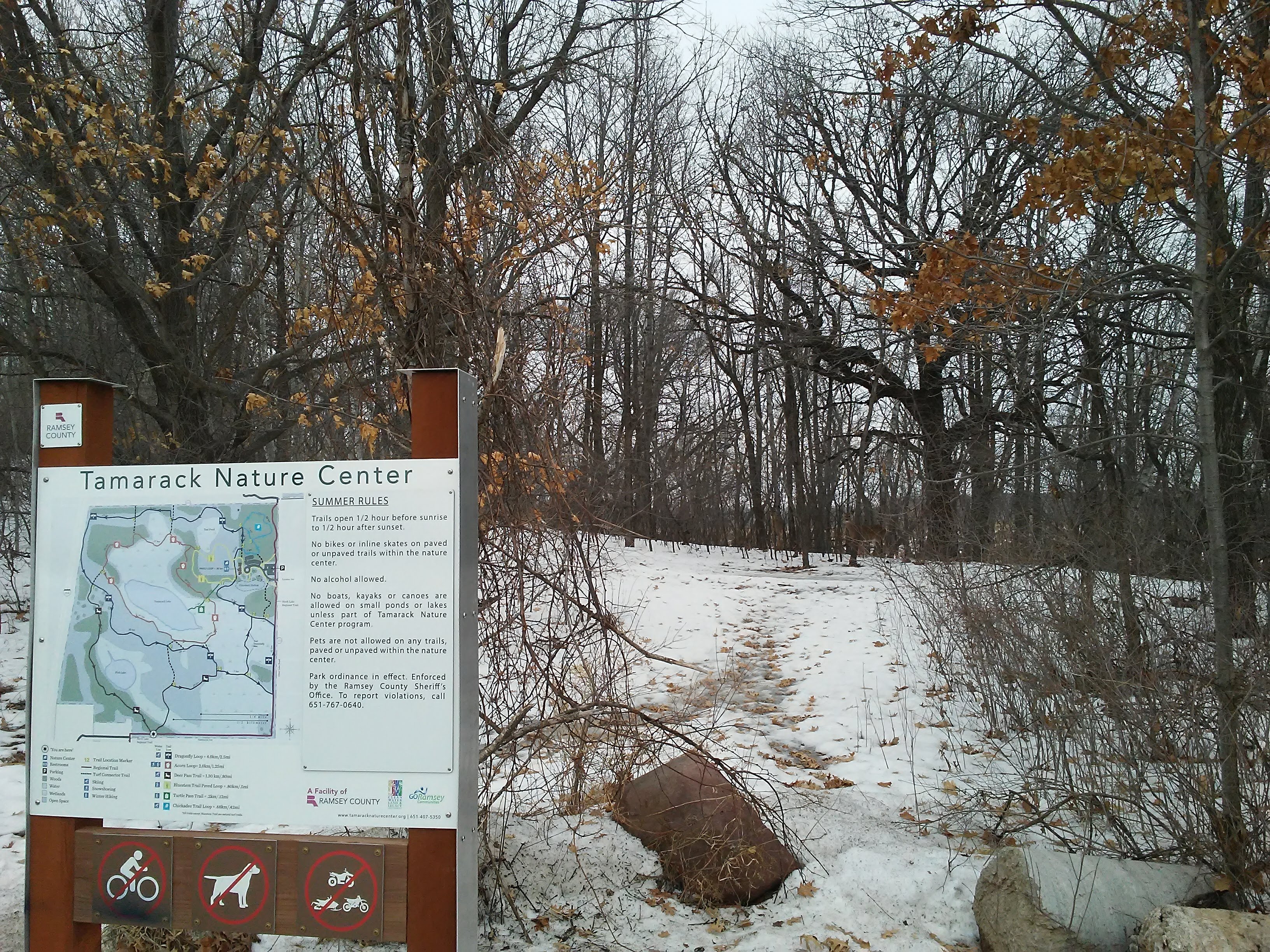 Park sign and snow and deer and trees