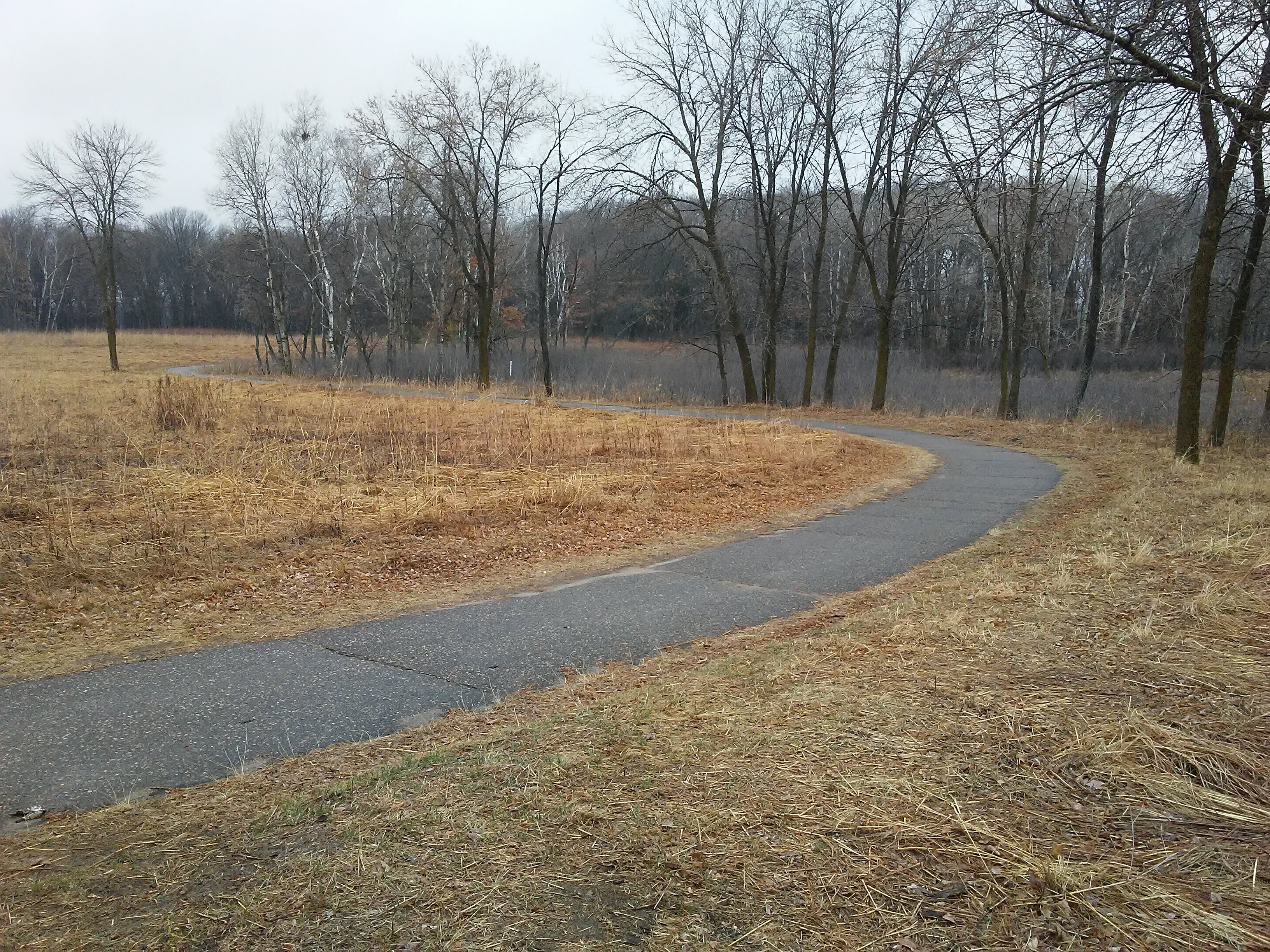 paved trail winding toward toward trees in background in early spring