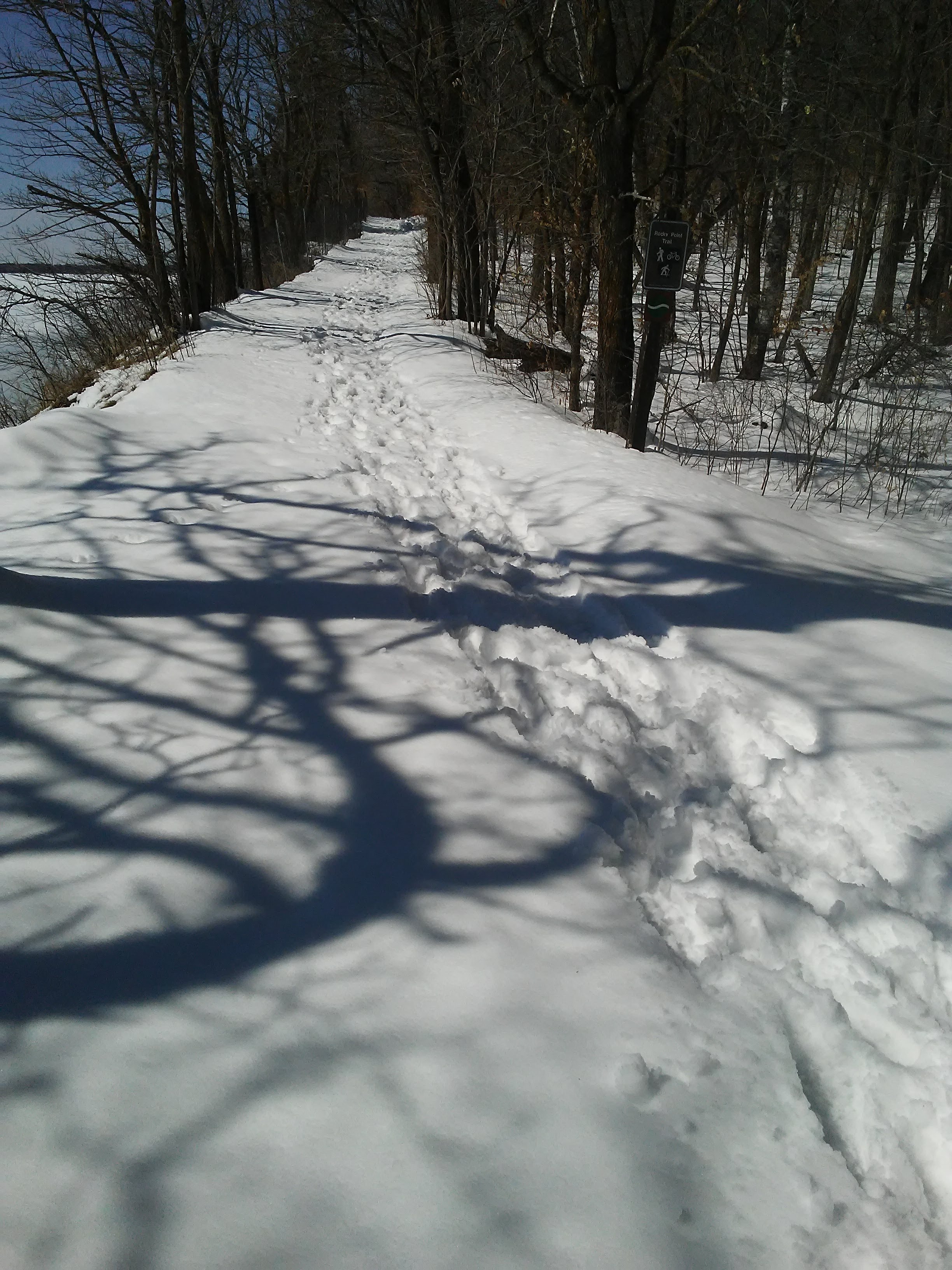 Footprints on a snow covered trail in the woods next to a lake. 