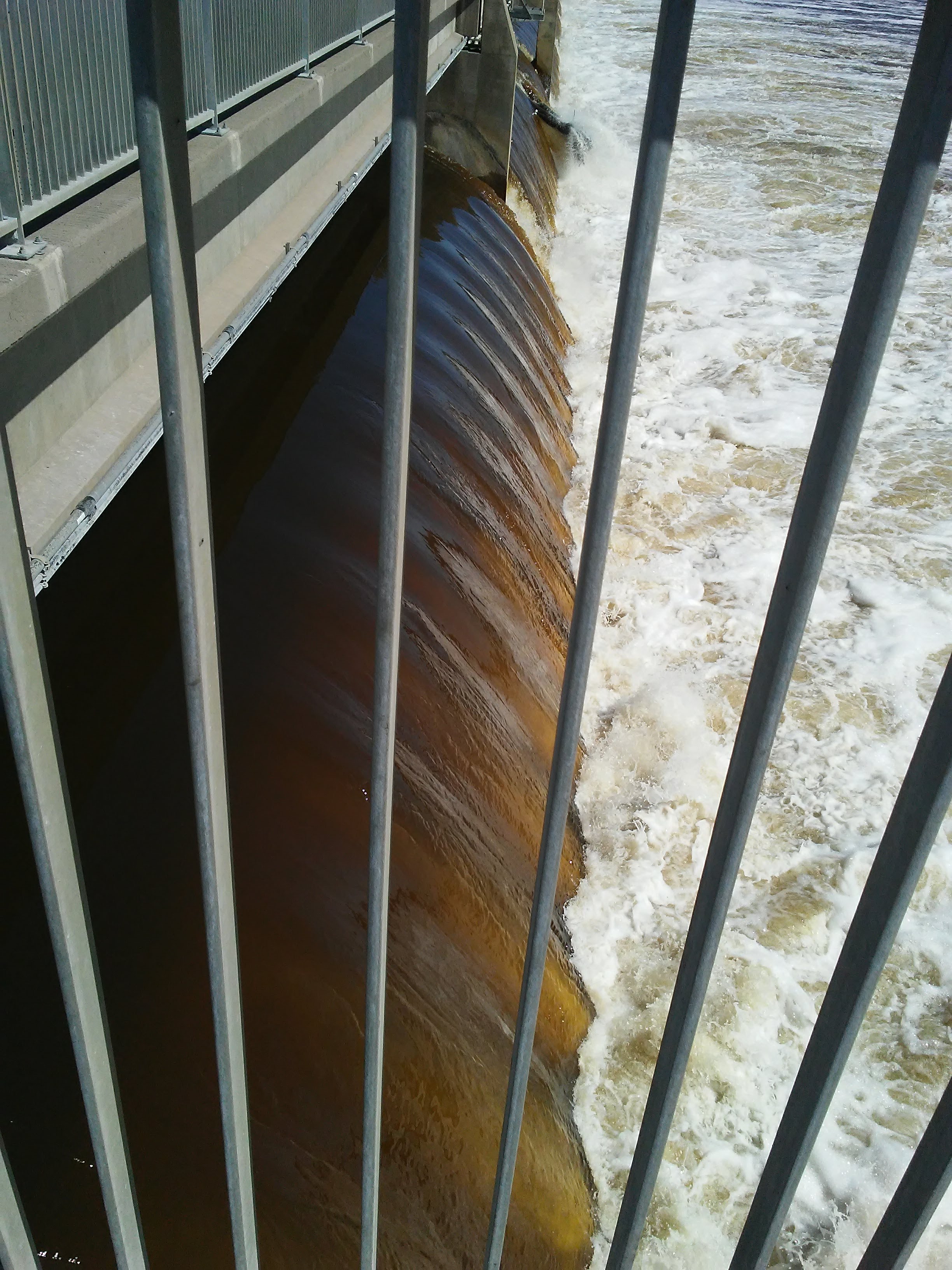 bars in front of a dam