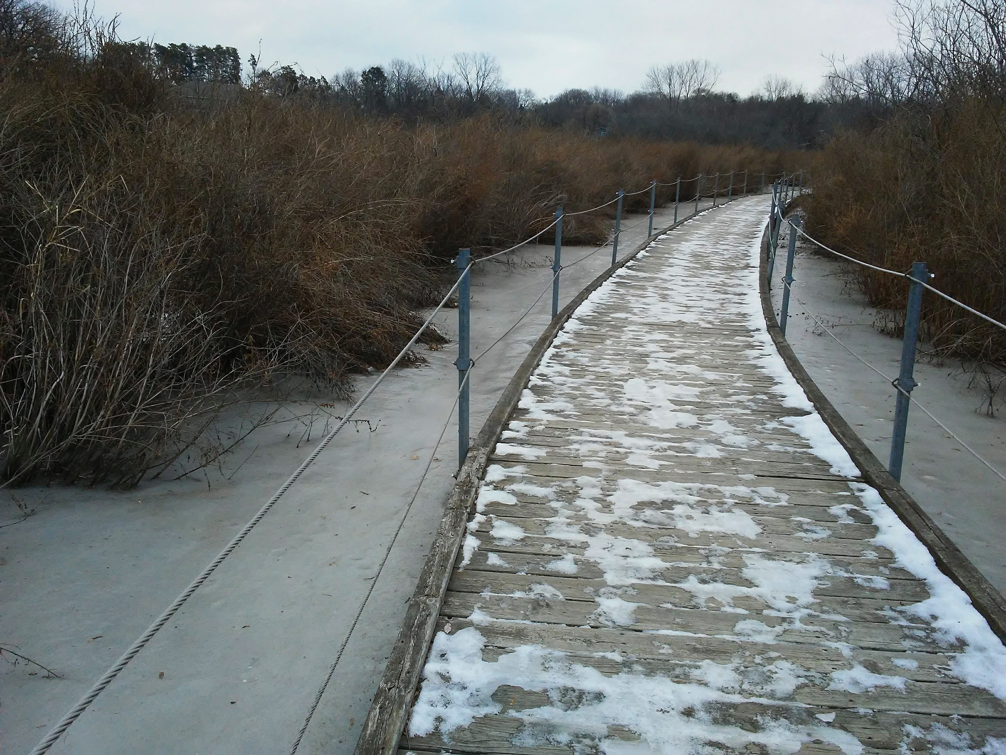 Boardwalk with railings. snow on ground. wetland.
