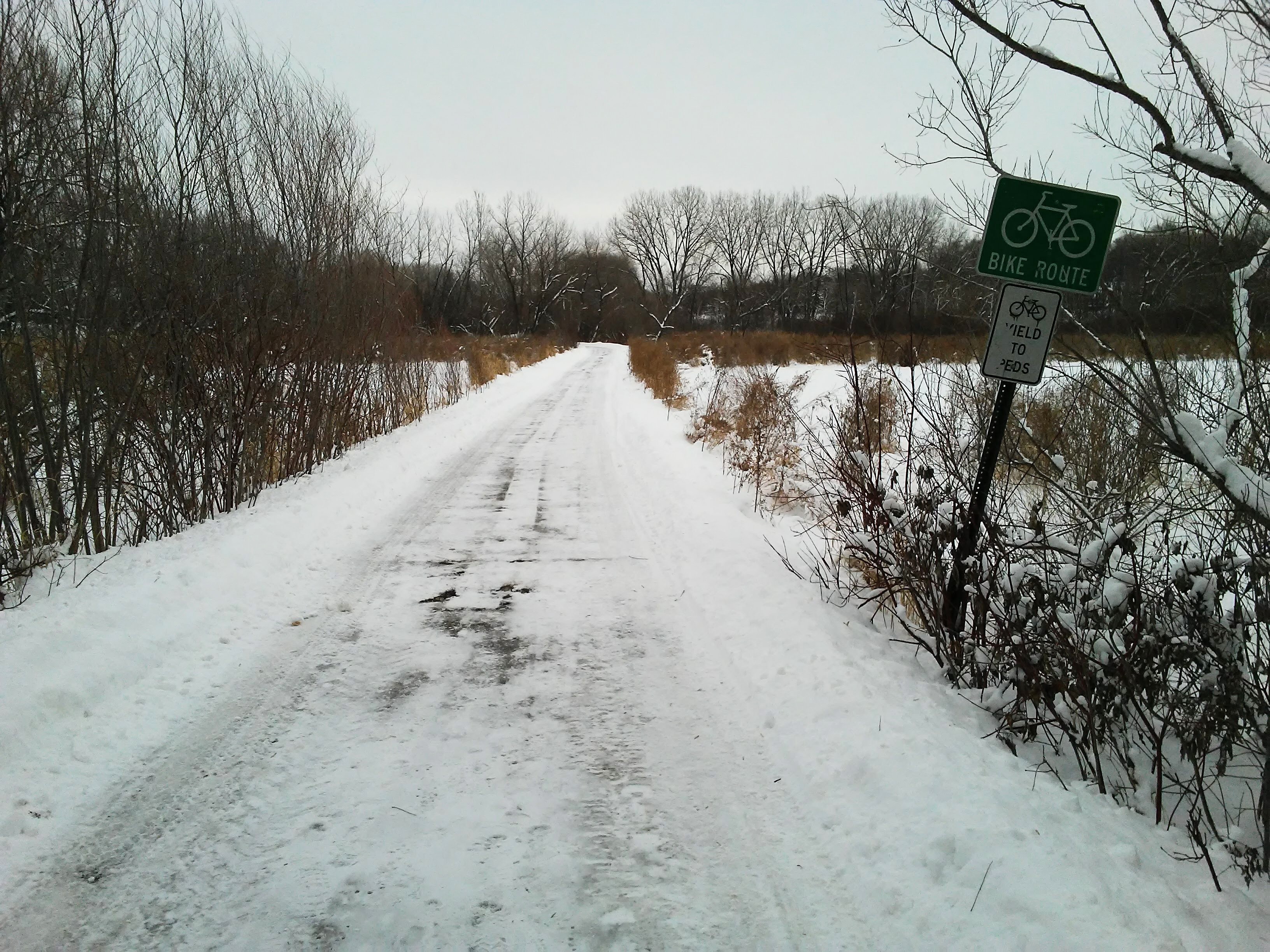 snowy trail through an wetland. street sign says bike route. another sign says yield to peds.