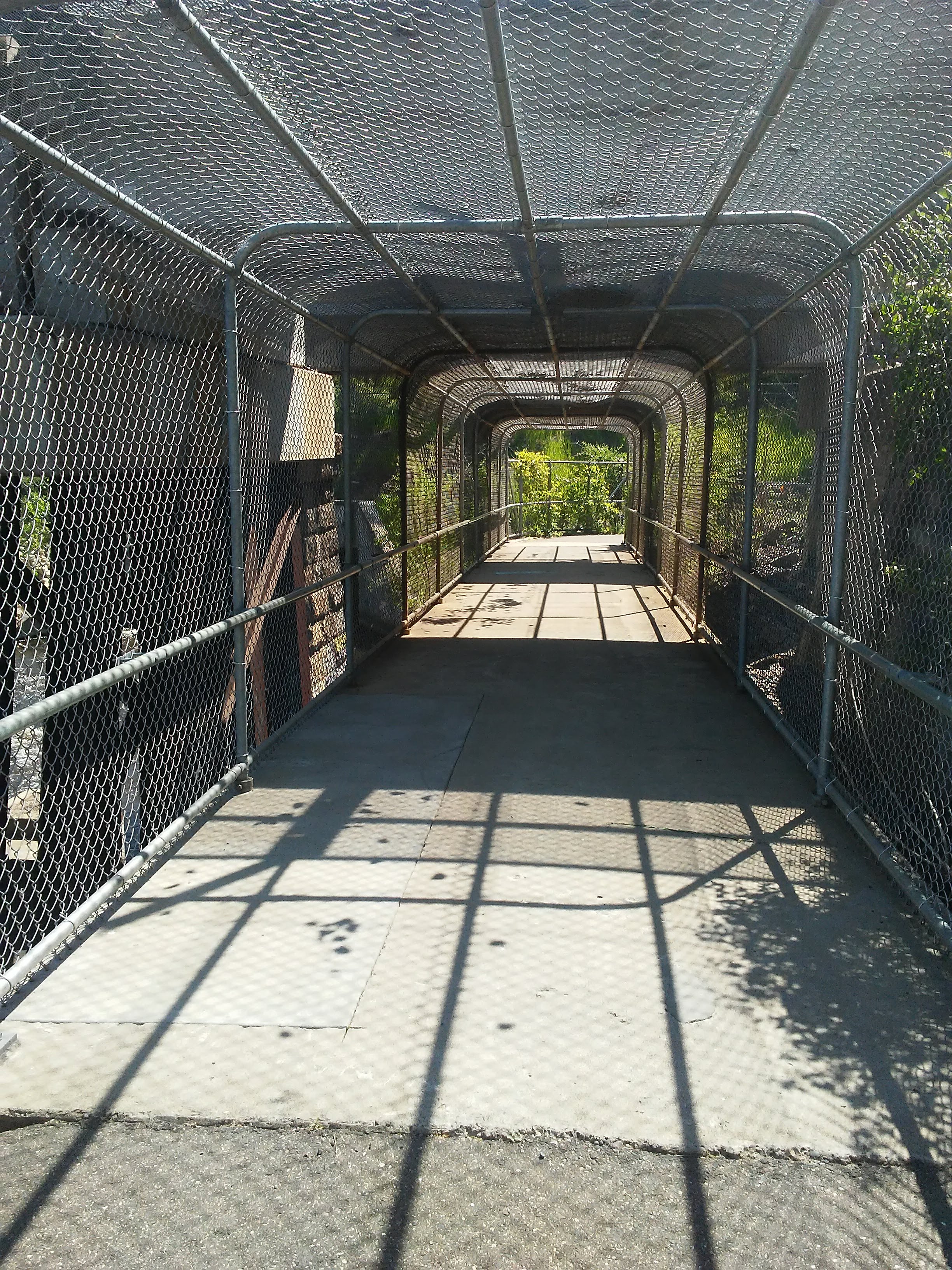 chain link fence tunnel around a bike path