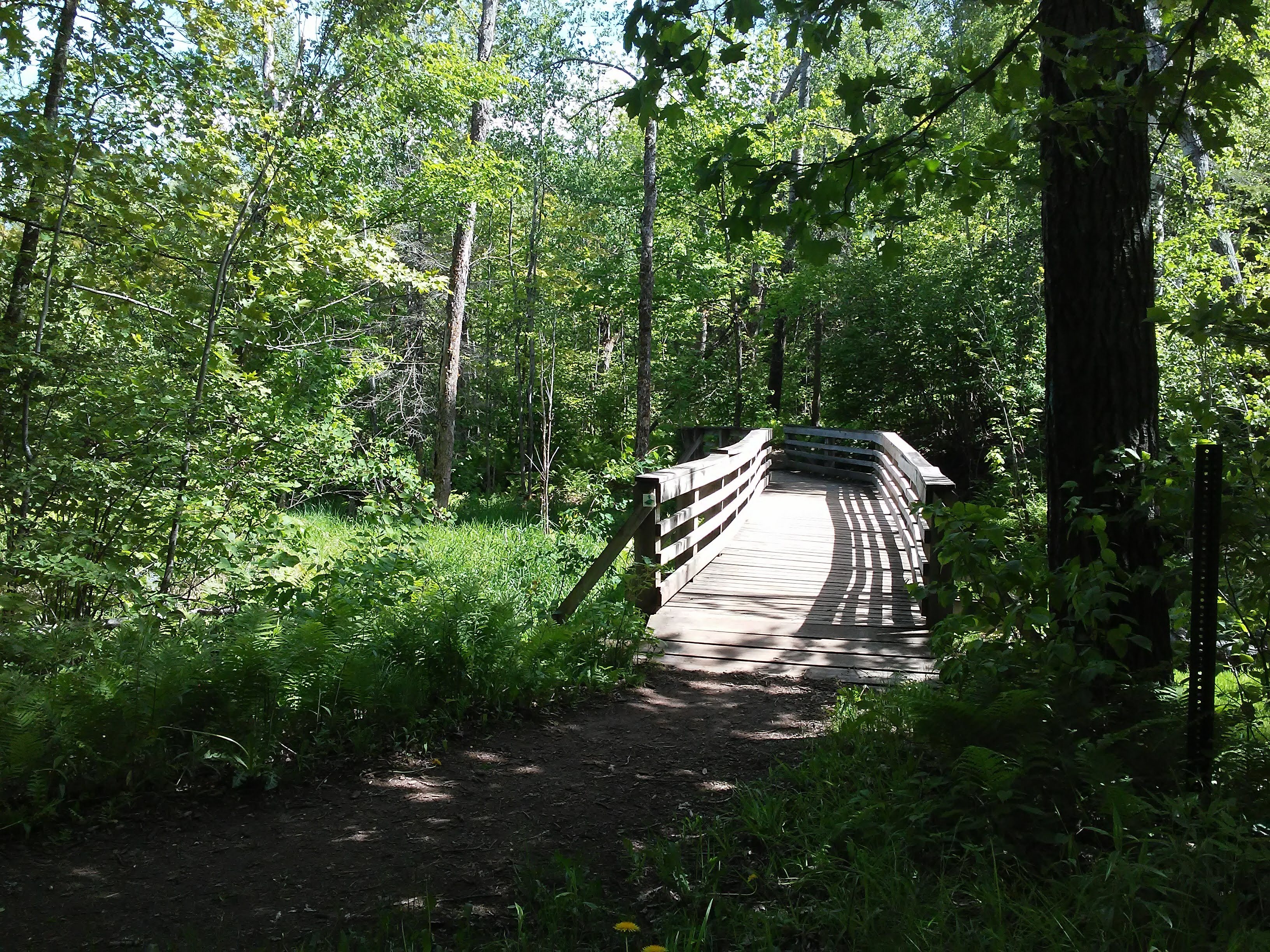 Wood bridge over a stream in Bagley Nature Area, Duluth