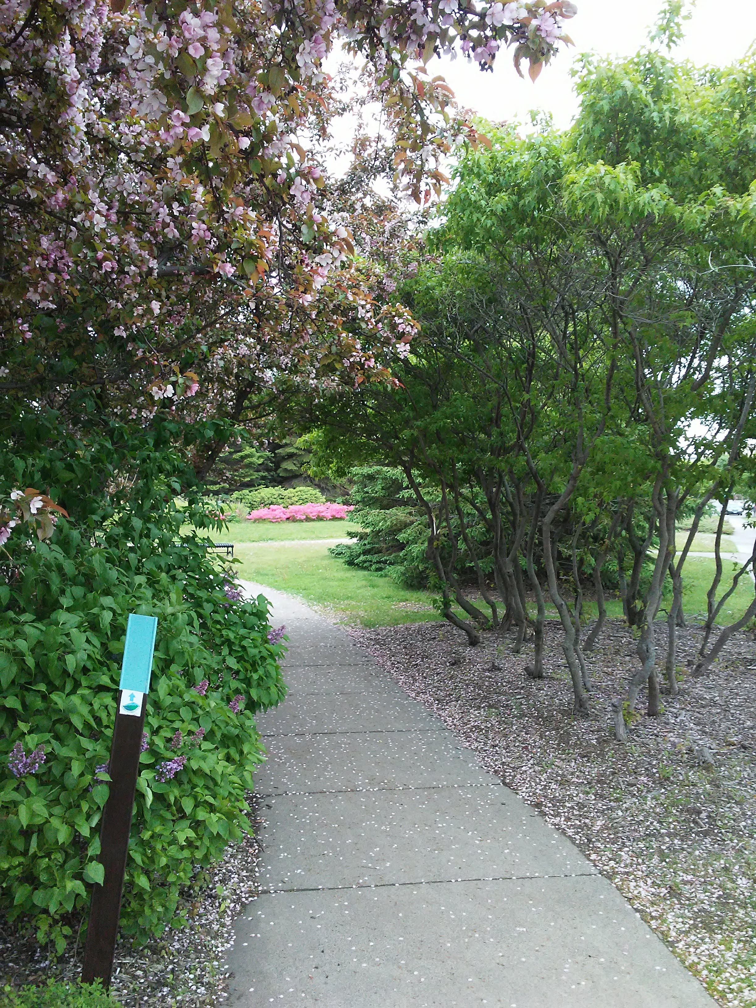 Superior Hiking Trail sign and a sidewalk leading into the Rose Garden in Duluth, Minnesota