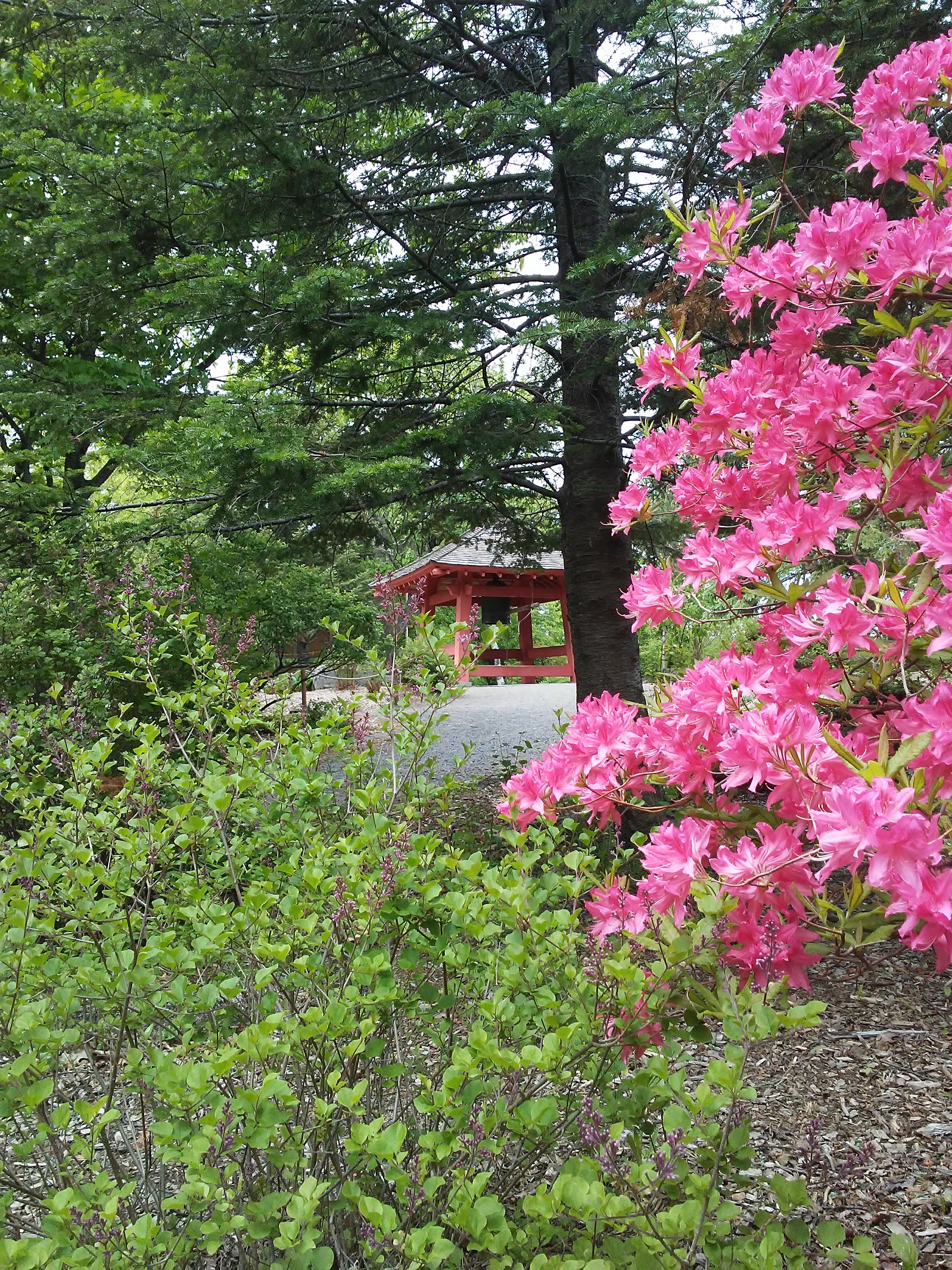 Japanese garden with a view of the Peace Bell in Enger Park Duluth, Minnesota