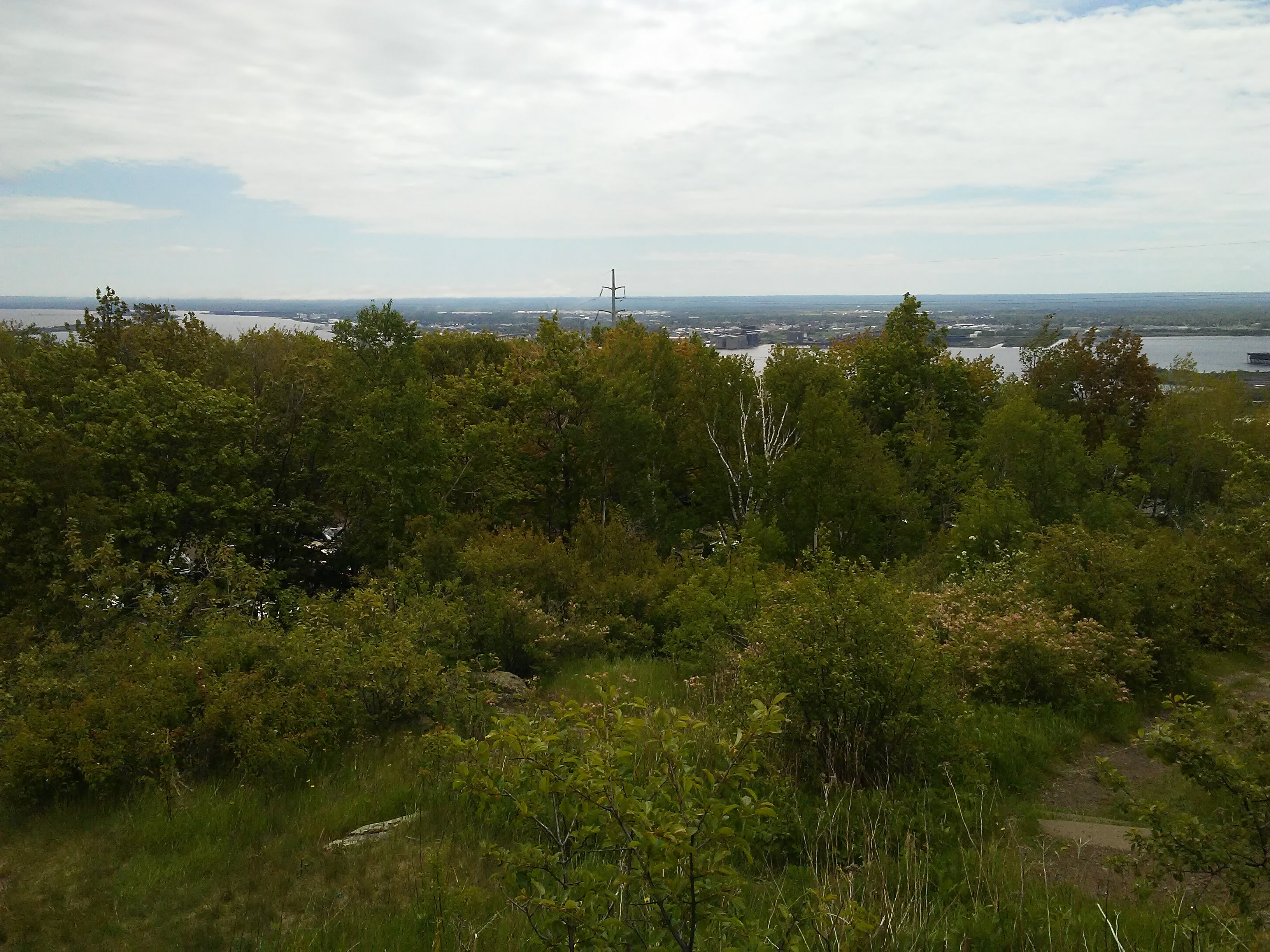 View of Duluth, Minnesota from the hill leading up to Enger Park. Lots of trees and a little bit of Lake Superior and Wisconsin on the other side of the bay