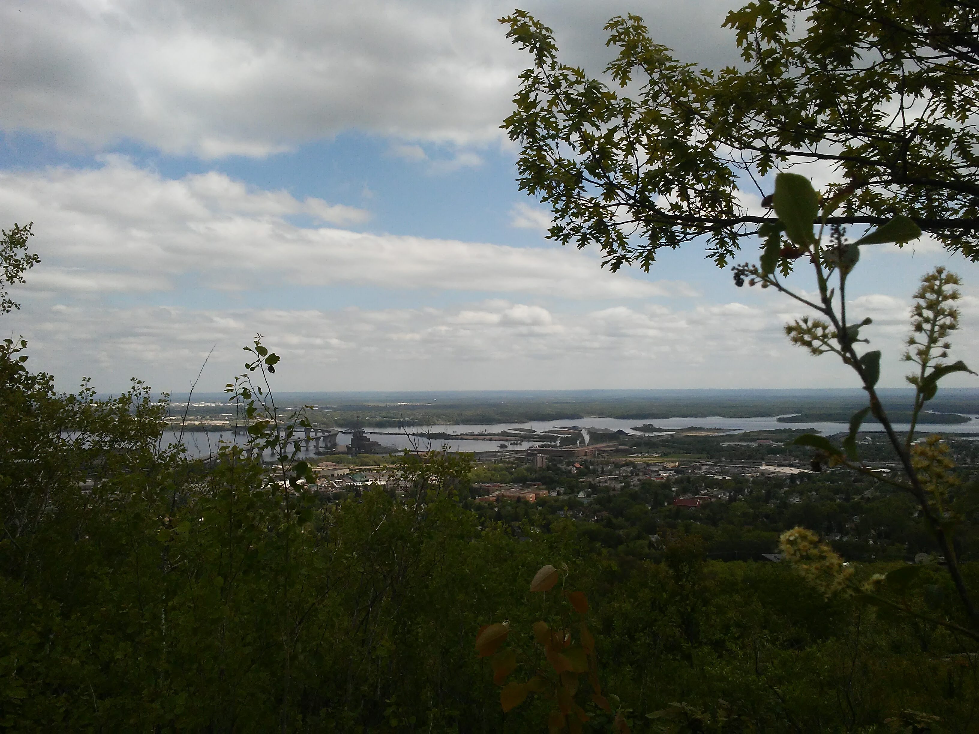 view of Duluth/Superior harbor with plants in the foreground