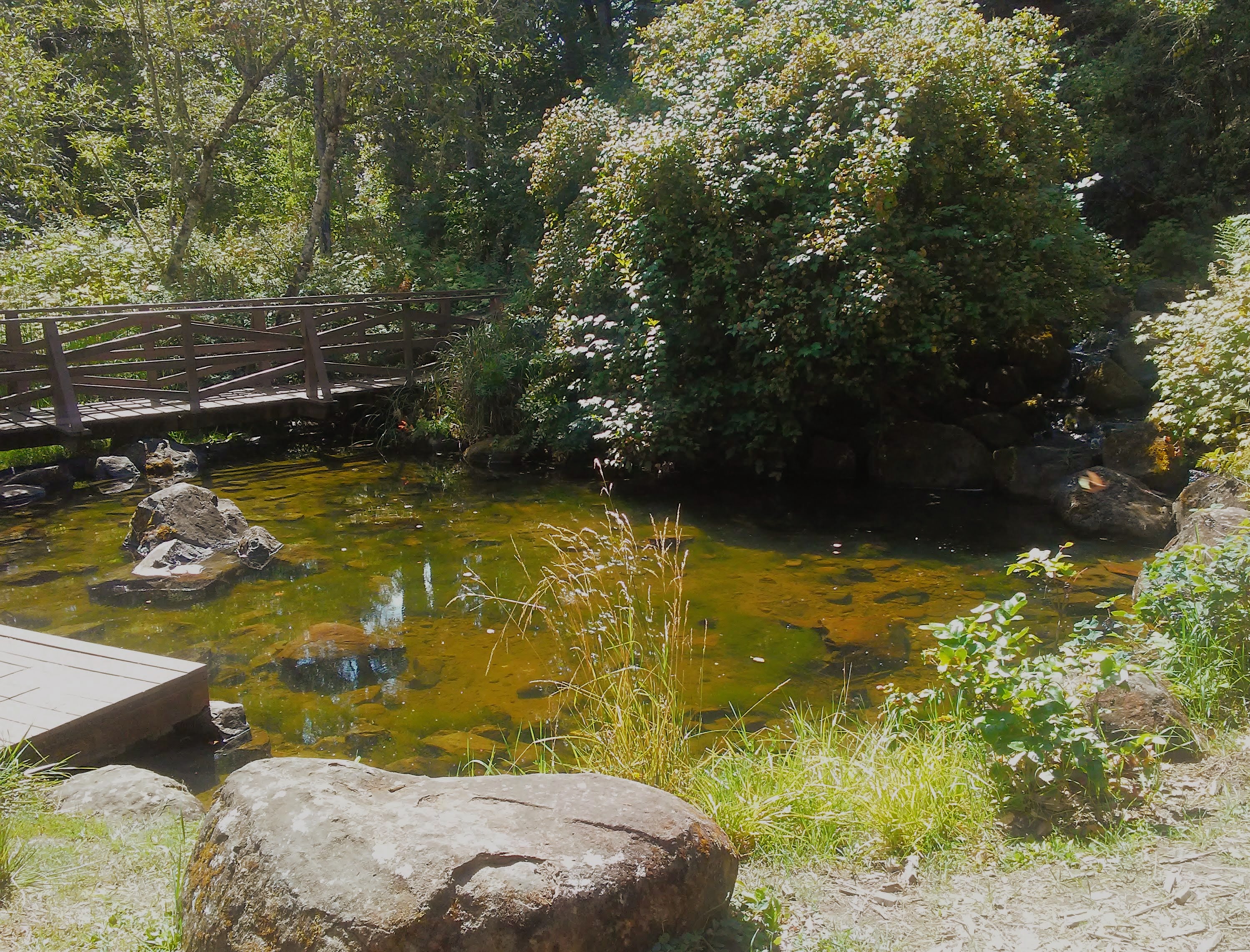water, bridge, trees, rock