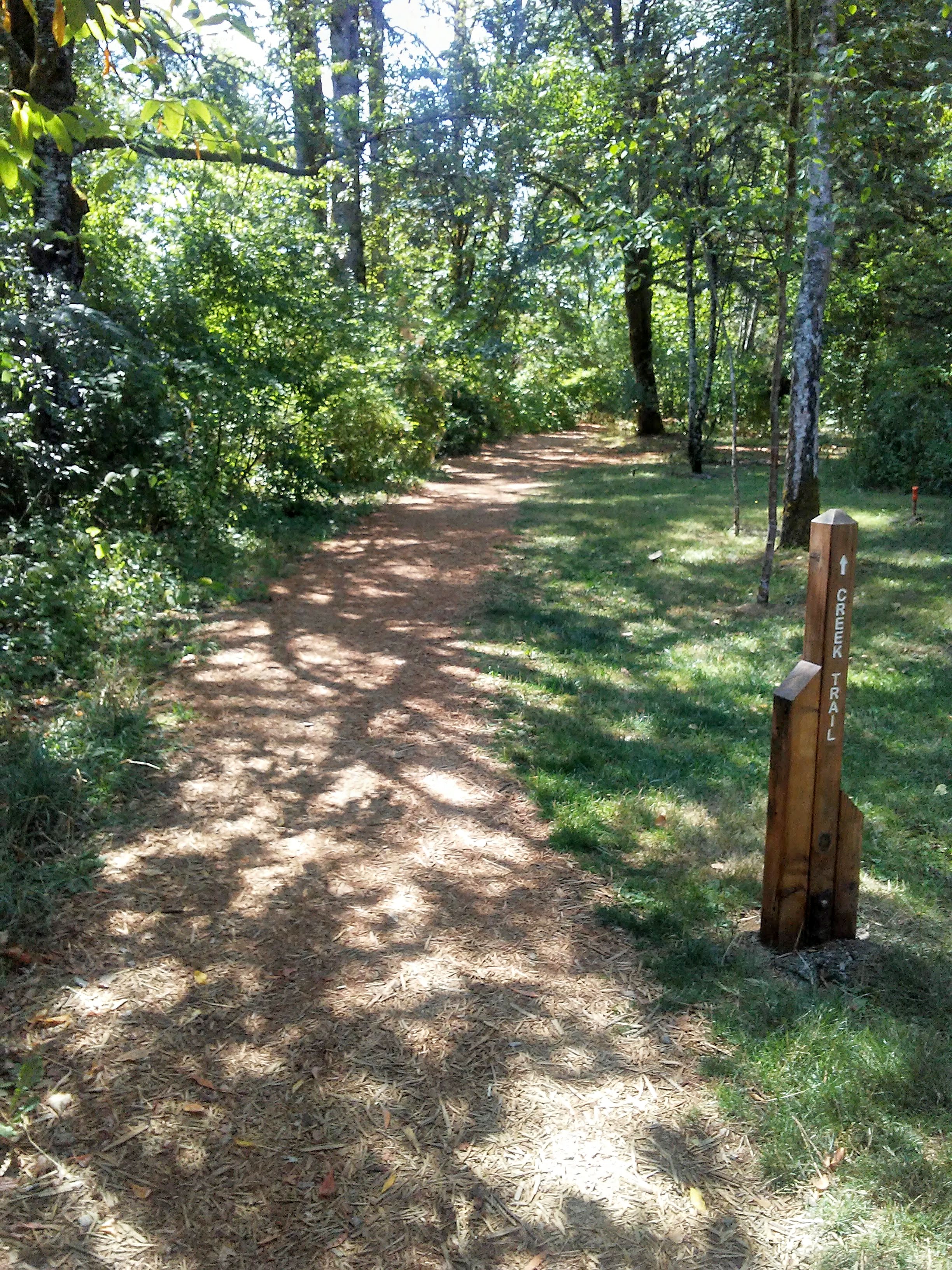 a path in the woods and a post with the words, "Creek Trail"