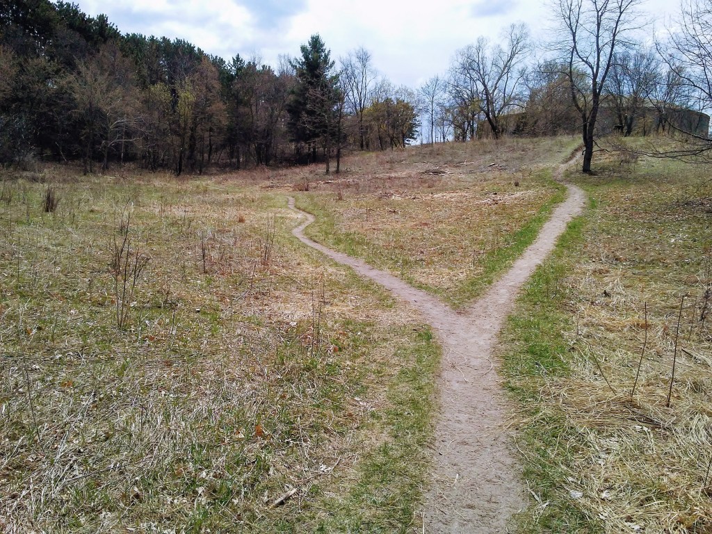 dirt trail, short grass, fork in the path