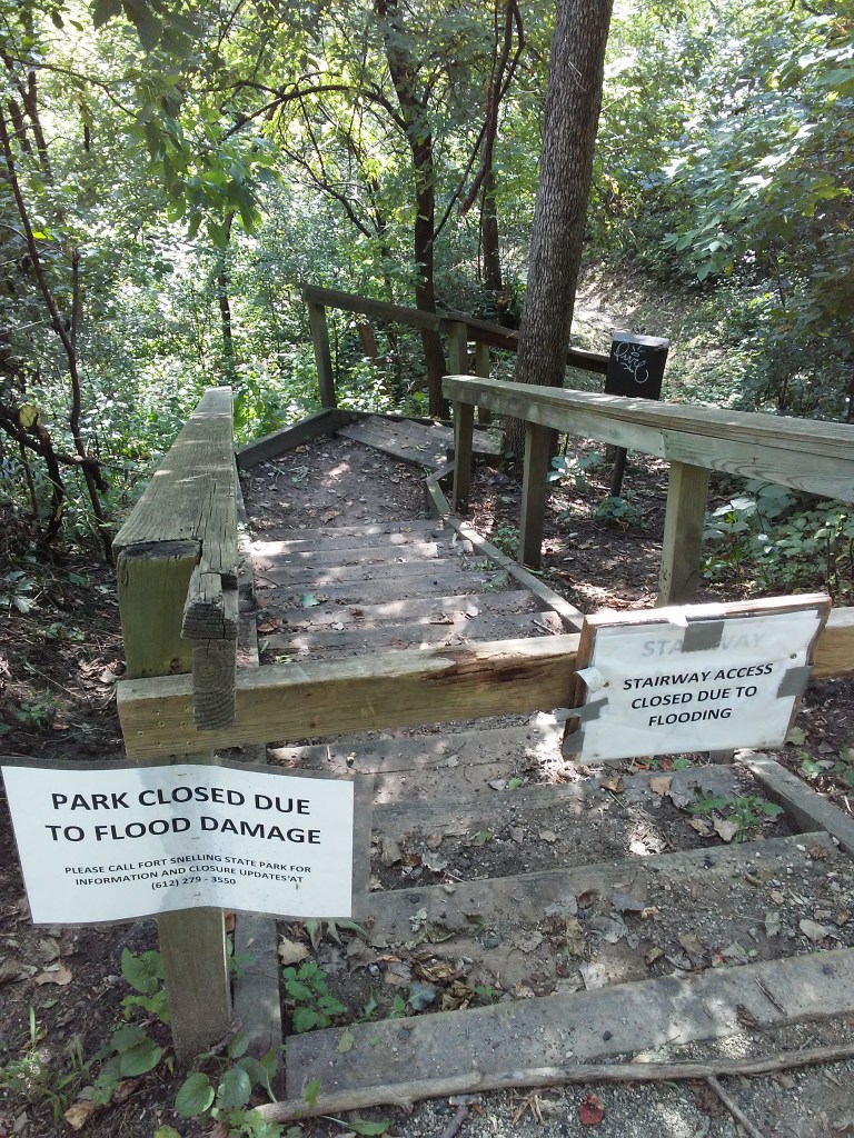 stairway going down into the woods