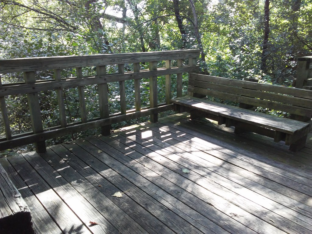 wood deck with a bench in the woods