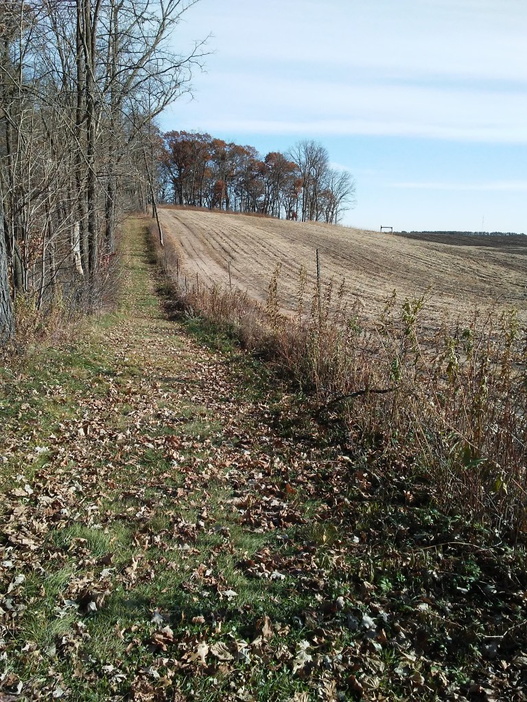 grass trail with farm fields on one side and the forest on the other.
