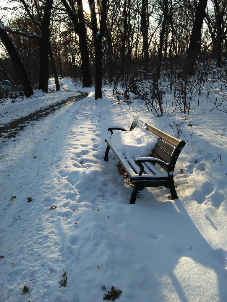 park bench half covered in snow