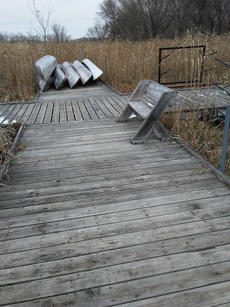 wood dock in a wetland, a bench, and canoes.