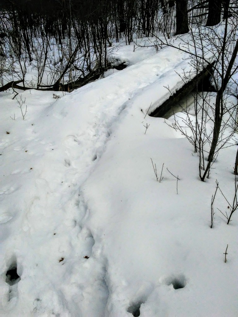 bridge over a small stream in winter. footprints in the snow.