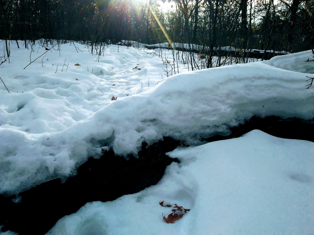 sun shining on snow on a tree that has fallen across a trail