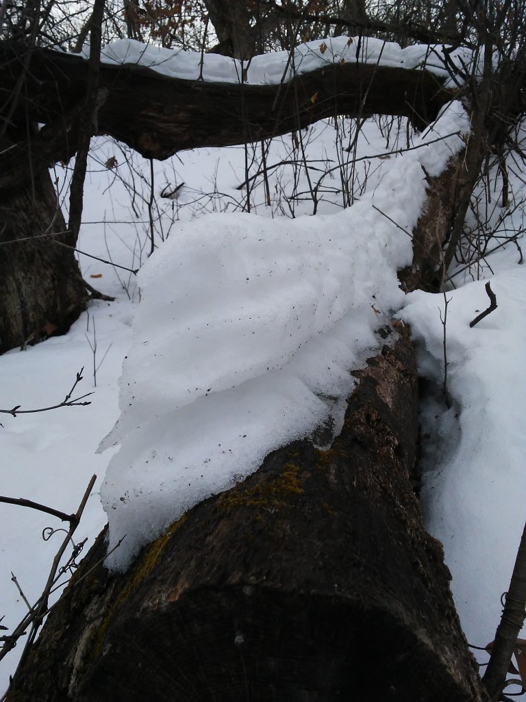 snow from multiple snowfalls on a log partially melted