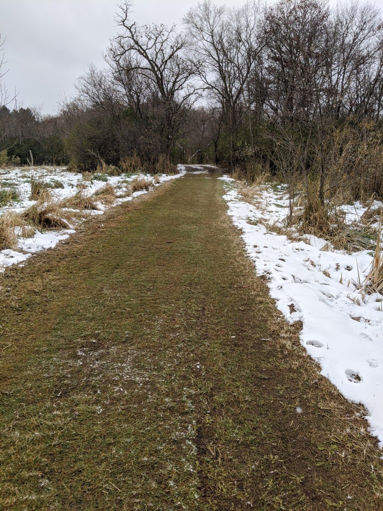 These trails are for cross country skis in the winter.