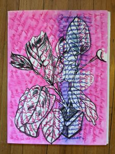 drawing of a plant with writing in the background