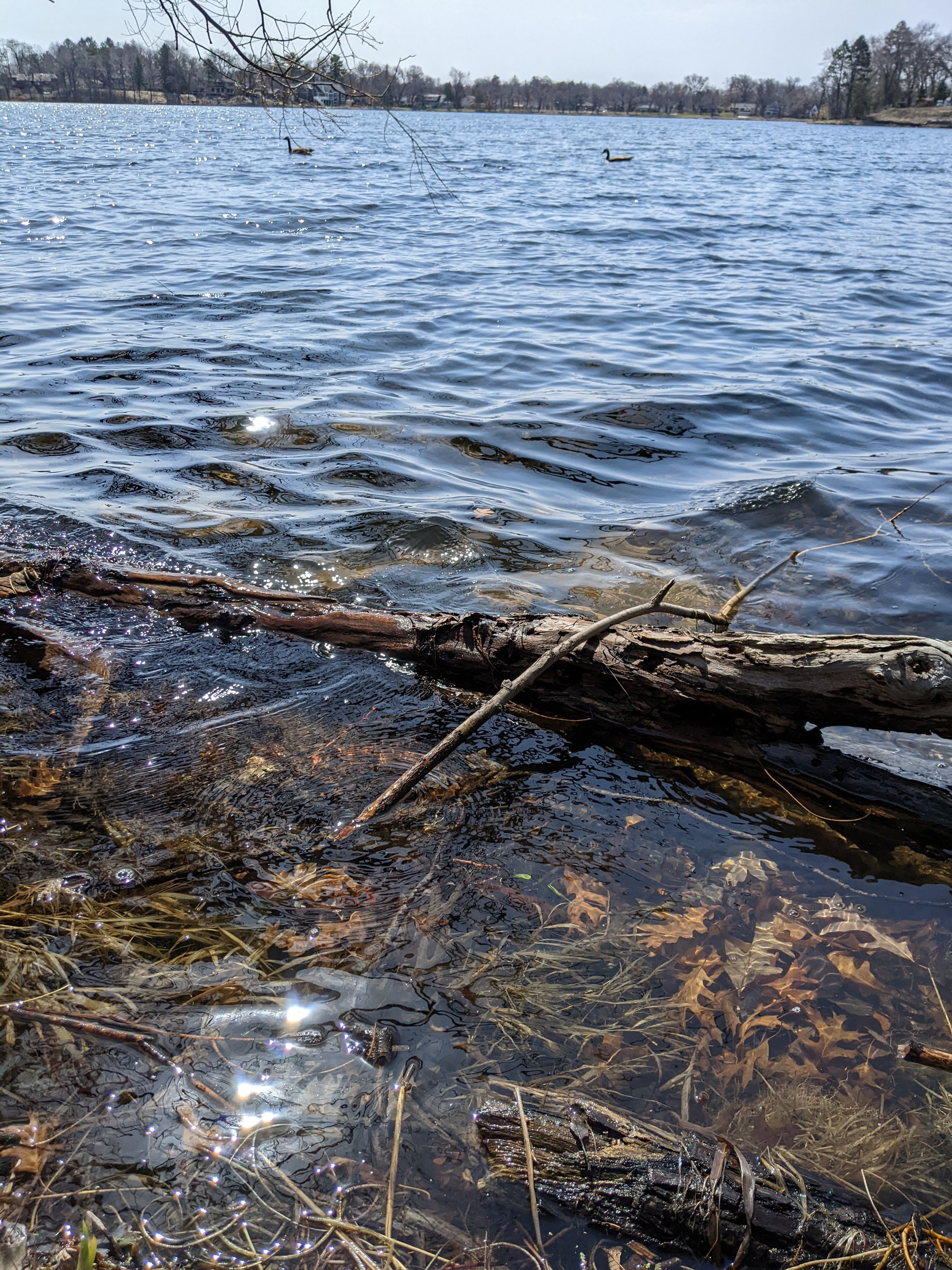sunshine on the water