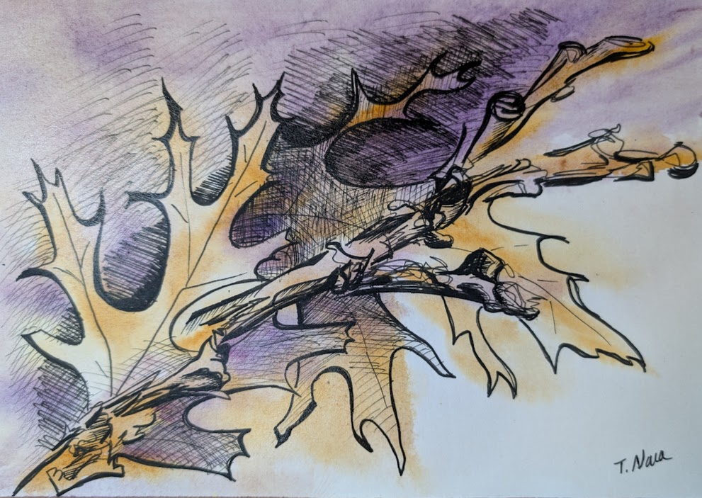 drawing of oak leaves and sticks with purple and tan watercolor